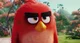 Red from Angry Birds