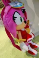 Amy Rose Backpack
