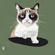 Grumpy cat