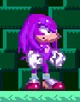 Magenta Knuckles
