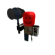 Future Roblox