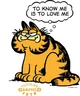 Garfield 1978