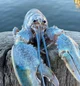 blue lobster