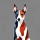 Basenji the Dog