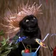Salem Saberhagen