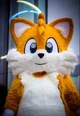 Tails the Fox