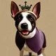 King Dog