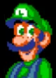 SMW Luigi