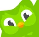 Duolingo