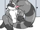 Raccoon transfur