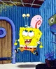 Spongebob Sqarepants