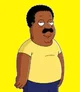 Cleveland brown 
