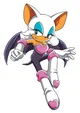Rouge The Bat