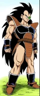 Raditz