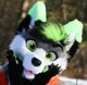 furry