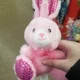 Fruit Punc the Bunny