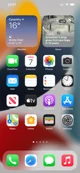 iOS 15