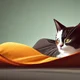 cat sleeping bag thi