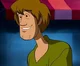 Shaggy