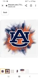 auburn tigers 