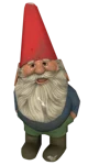 gnome chompki