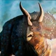 Triceratops 