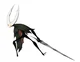 The Hollow Knight
