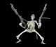 skelet