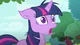 twilight sparkle