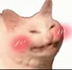 RussianCat