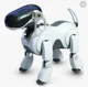 robot dog 