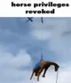 Horse Privilege