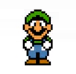 Luigi from SML2 DX