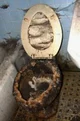 Dirty toilet