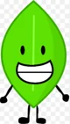 BFDI Leafy