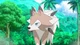 Midday Lycanroc