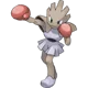 Hitmonchan