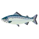 Just A Fish