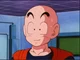 TFS Krillin 