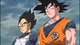 Son Goku and Vegeta