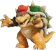 King Bowser Koopa