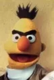 Bert 