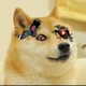 Cybernetic Doge