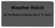Weather Robot