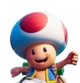 Toad