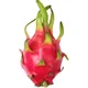 Dragon fruit Madison