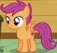 Scootaloo
