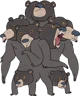 Multi-Bear