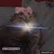 Transcendence Cat