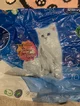 Toilet paper Cat